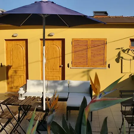 The Yellow House